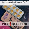 Kamagra Jalea Paquete De 7 Días 41